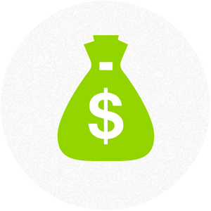 a green money bag