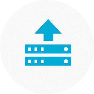 WordPress Plugins